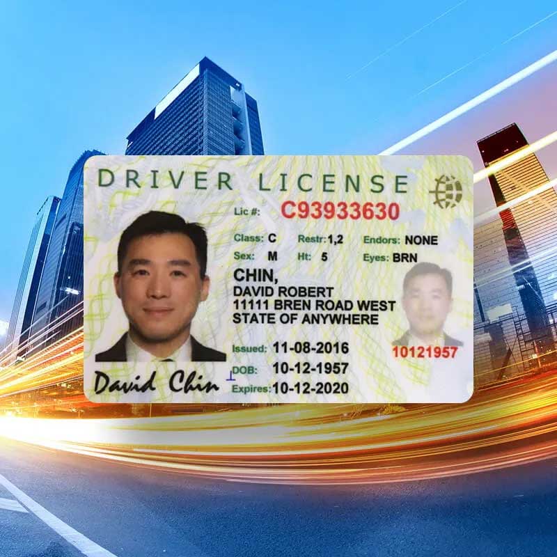 운전 면허증 예시